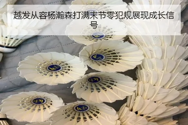 越发从容杨瀚森打满末节零犯规展现成长信号